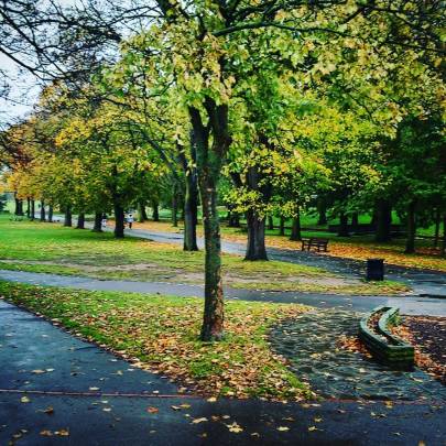 23421588_1489671257790111_5308116095050186752_n