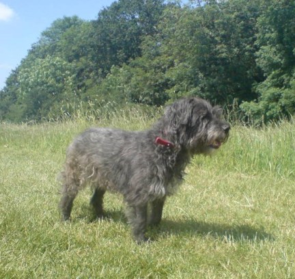 image-upload-6-751229