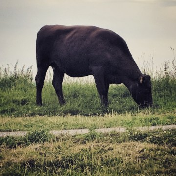 img_20180616_081906_637