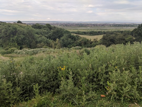 Maker:S,Date:2017-11-2,Ver:6,Lens:Kan03,Act:Lar02,E-Y