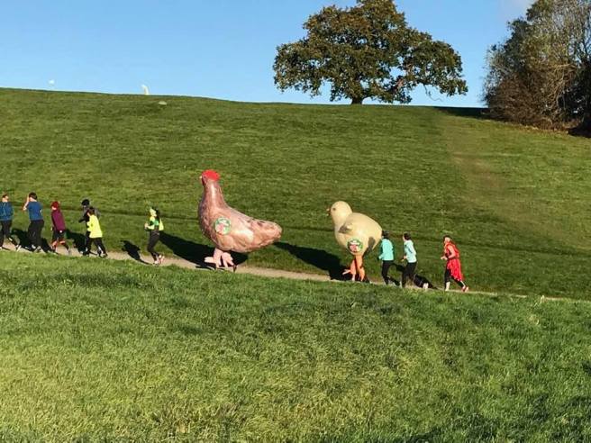 44901156_10157308892409068_2676757767875723264_n (1)