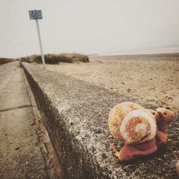 img_20181102_185944_367