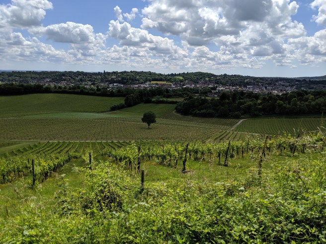 mvimg_20190622_121439