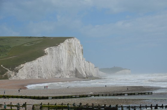 35103586036_319398a347_b