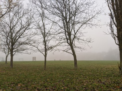 mvimg_20191130_084226