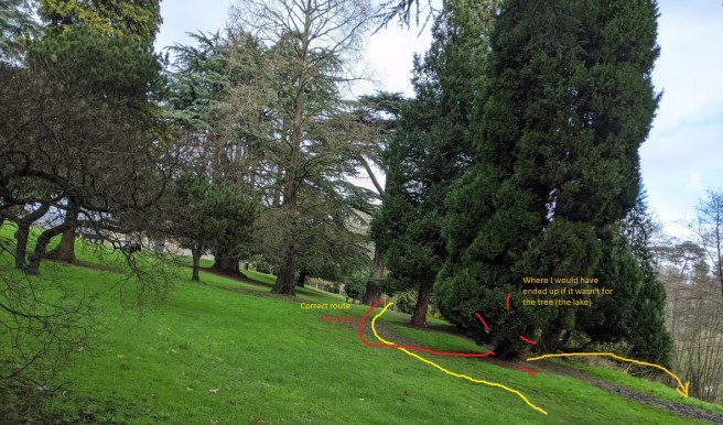 MVIMG_20200229_102458